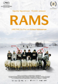 Rams - Hrútar 